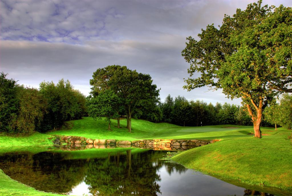 Mount Wolseley Hotel Spa & Golf Resort Tullow Extérieur photo